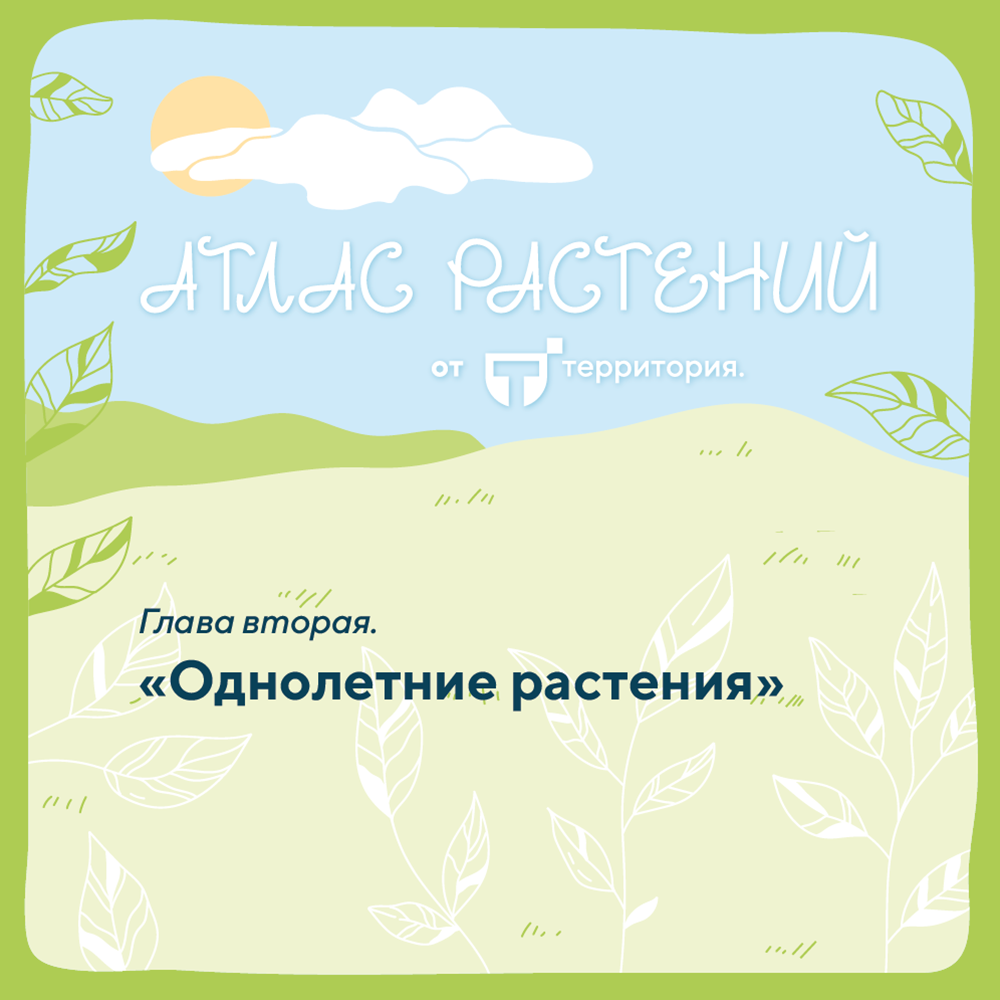 атлас растений 1_1.png